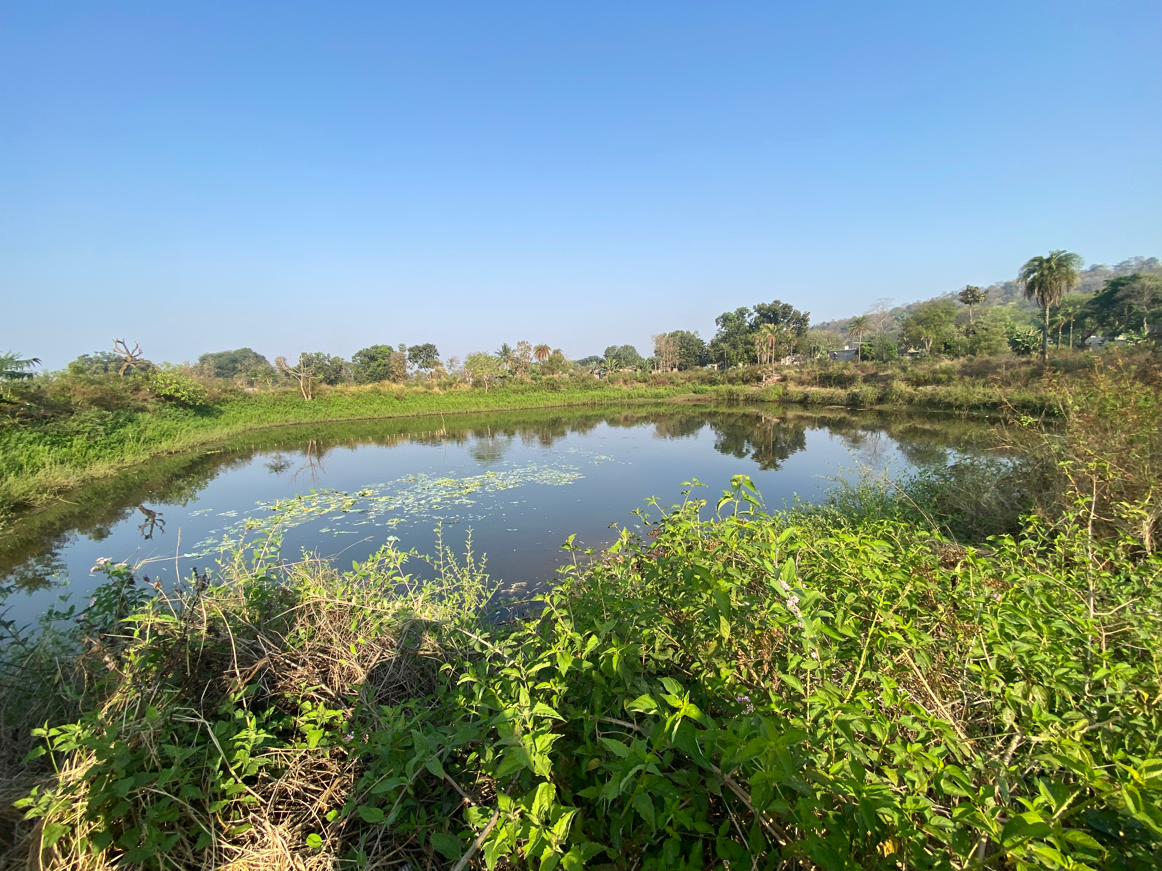 A farm pond constructed as part of the water security project in the village of Bhagatpur, India’s Odisha state, on March 1, 2025. Roli Srivastava/The Migration Story  